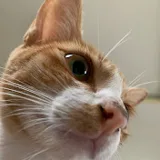 Thailand  & single mom channel
