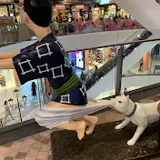 コルレオーネマイケル