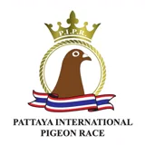 Pattayaoneloftrace / Pattaya One Loft Race